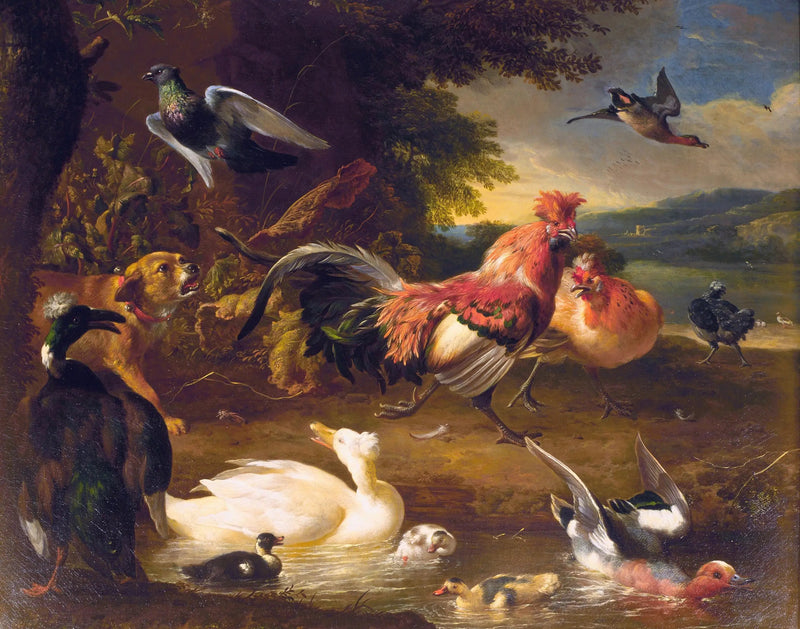 Poules et canards - Melchior de Hondecoeter