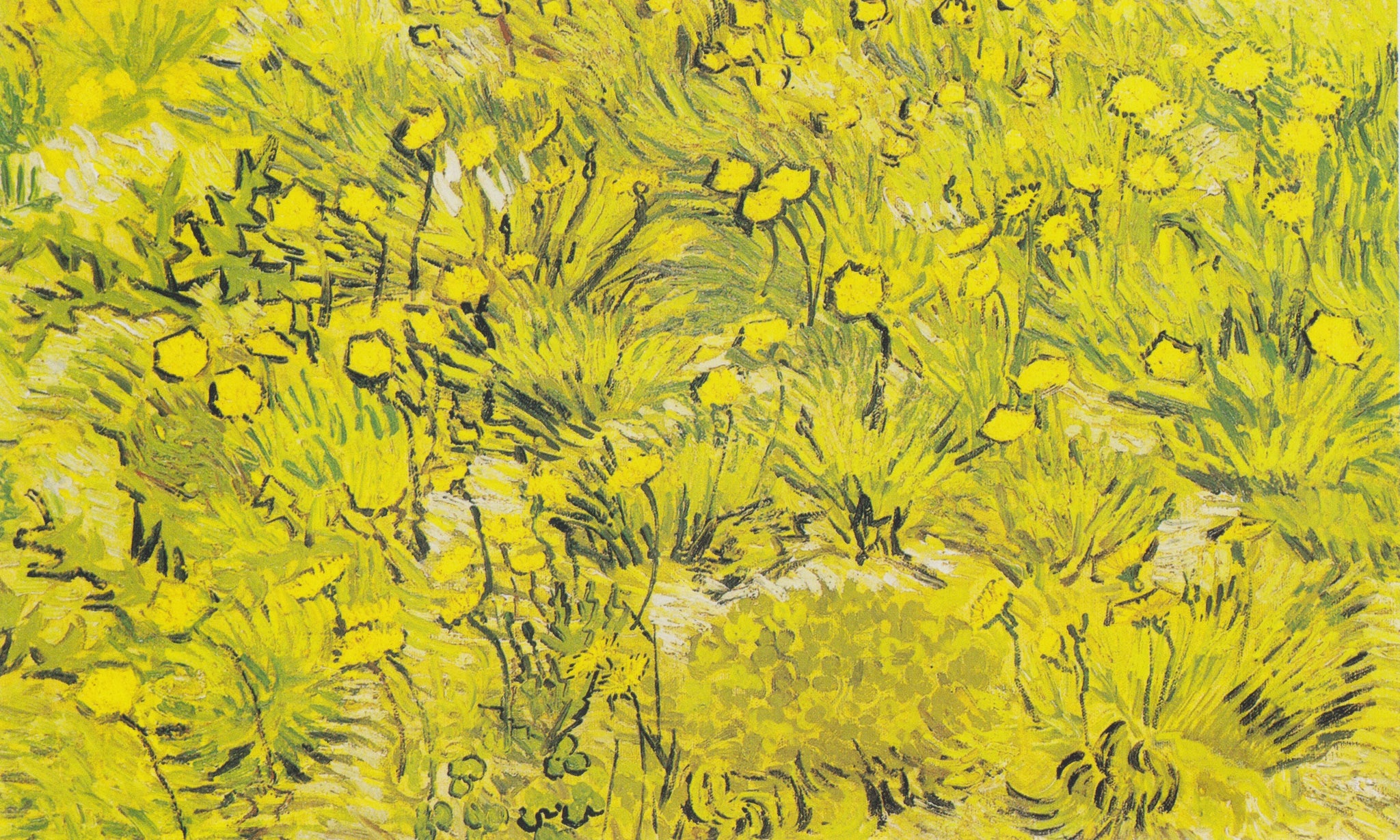 Prairie aux fleurs jaunes F584 de Vincent van Gogh, Kunst Museum Winterthur