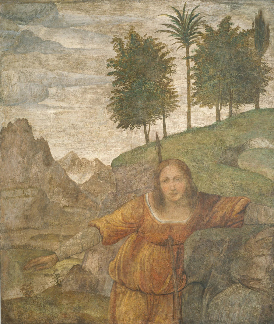 Procris transpercé par le javelot de Céphale - Bernardino Luini