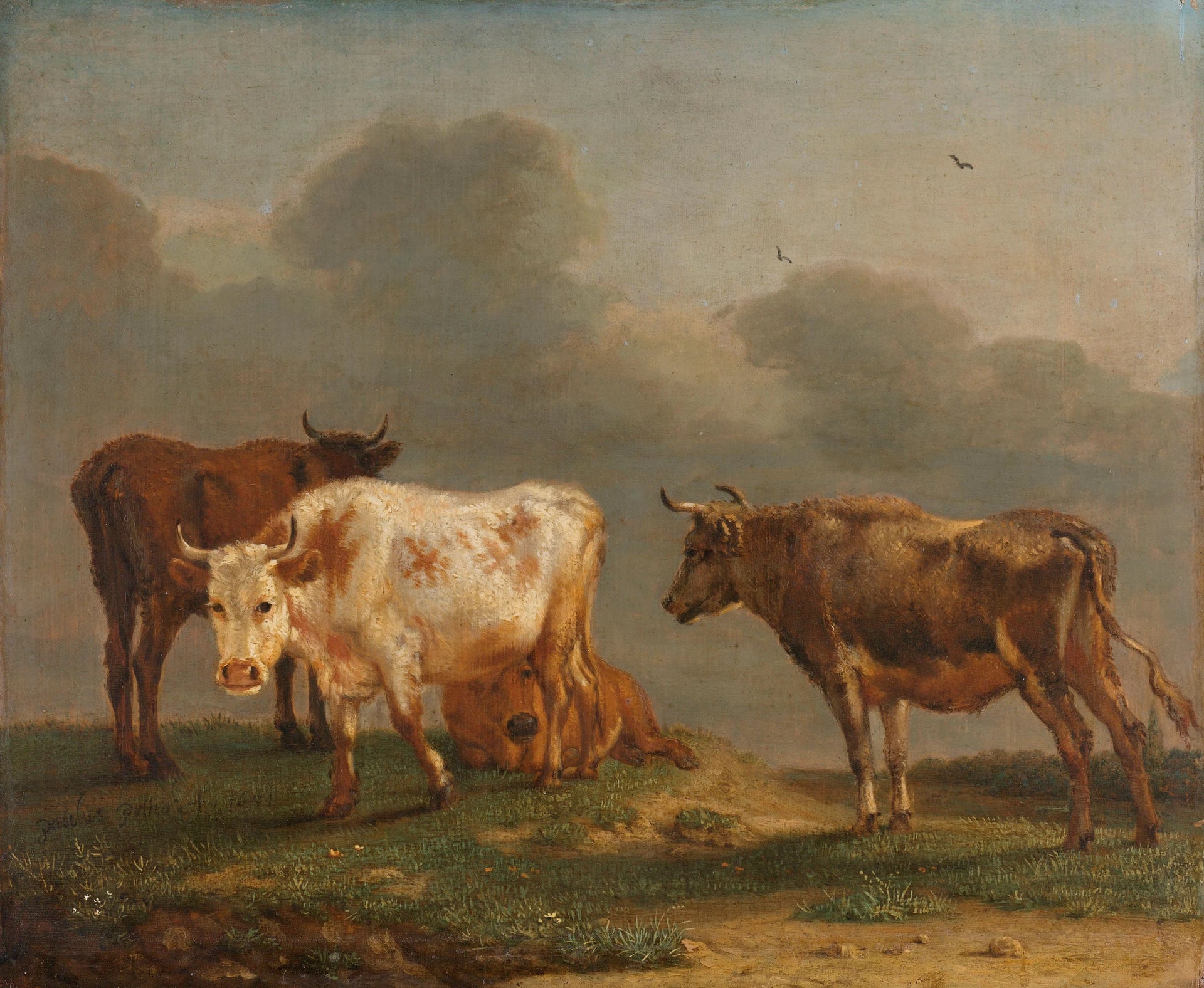 Quatre vaches dans le pré - Paulus Potter