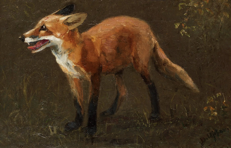 renardeau - Bruno Liljefors