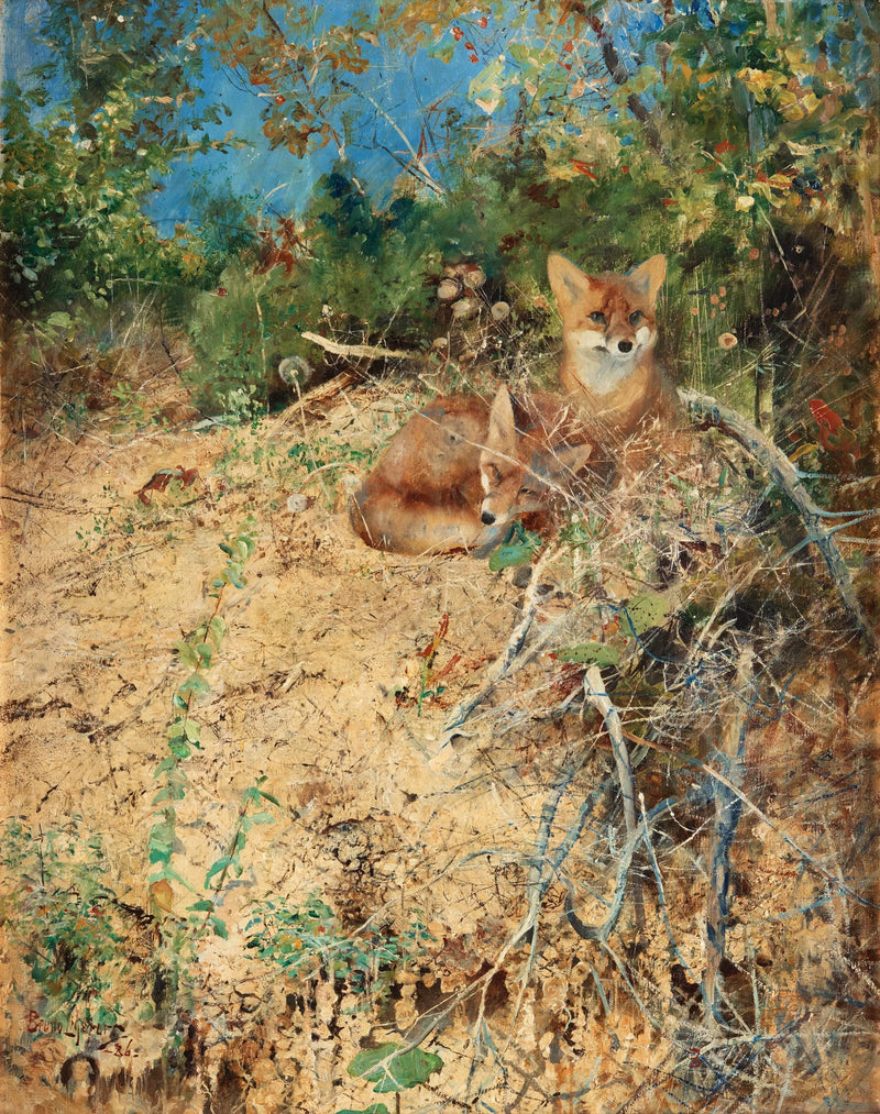 Renards - Bruno Liljefors