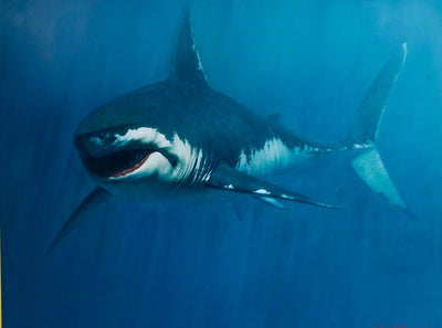 Requin | 150 x 200 cm Reproductions de tableaux à la peinture à l’huile