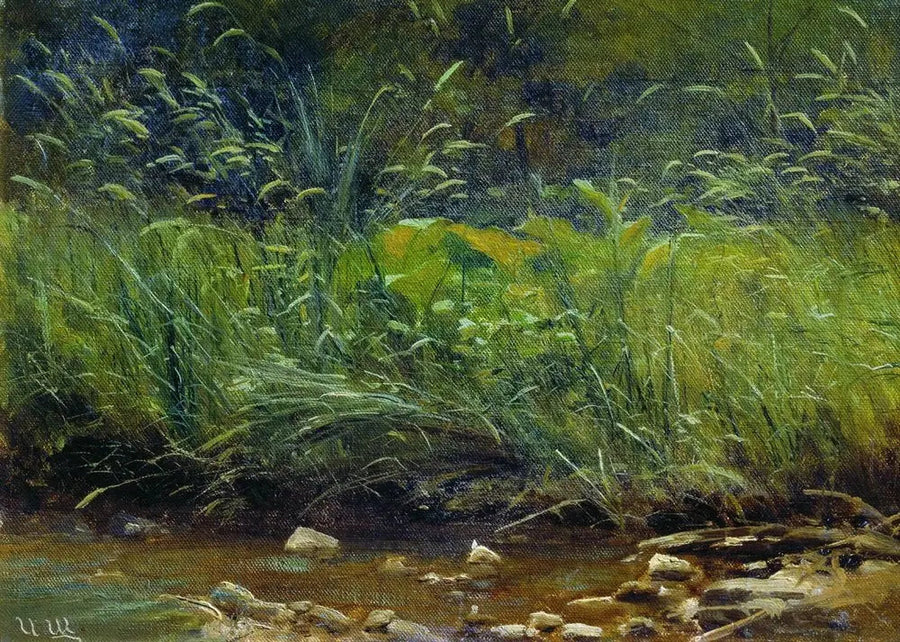 rive de l'étang - Ivan Chichkine