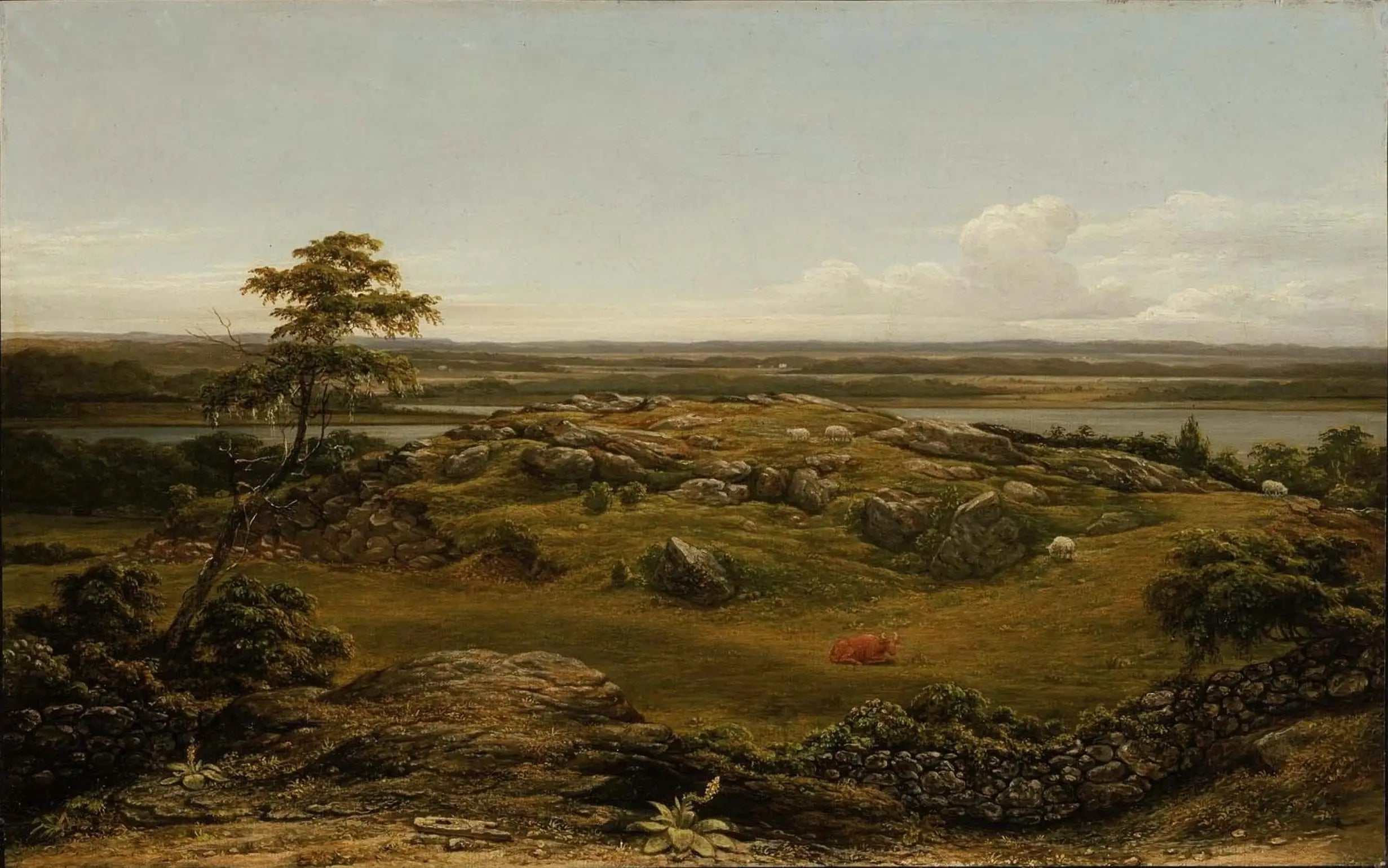 Rochers en Nouvelle-Angleterre - Martin Johnson Heade image 1 reproduction artisanale de tableau