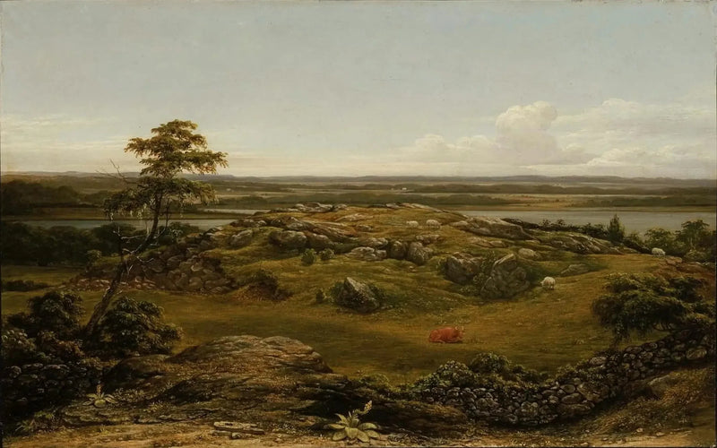 Rochers en Nouvelle-Angleterre - Martin Johnson Heade