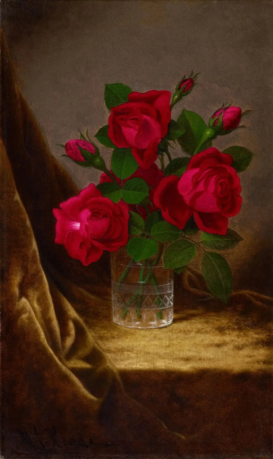 Roses Jacqueminot - Martin Johnson Heade