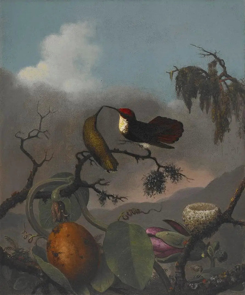 Rubis-Topaze - Martin Johnson Heade