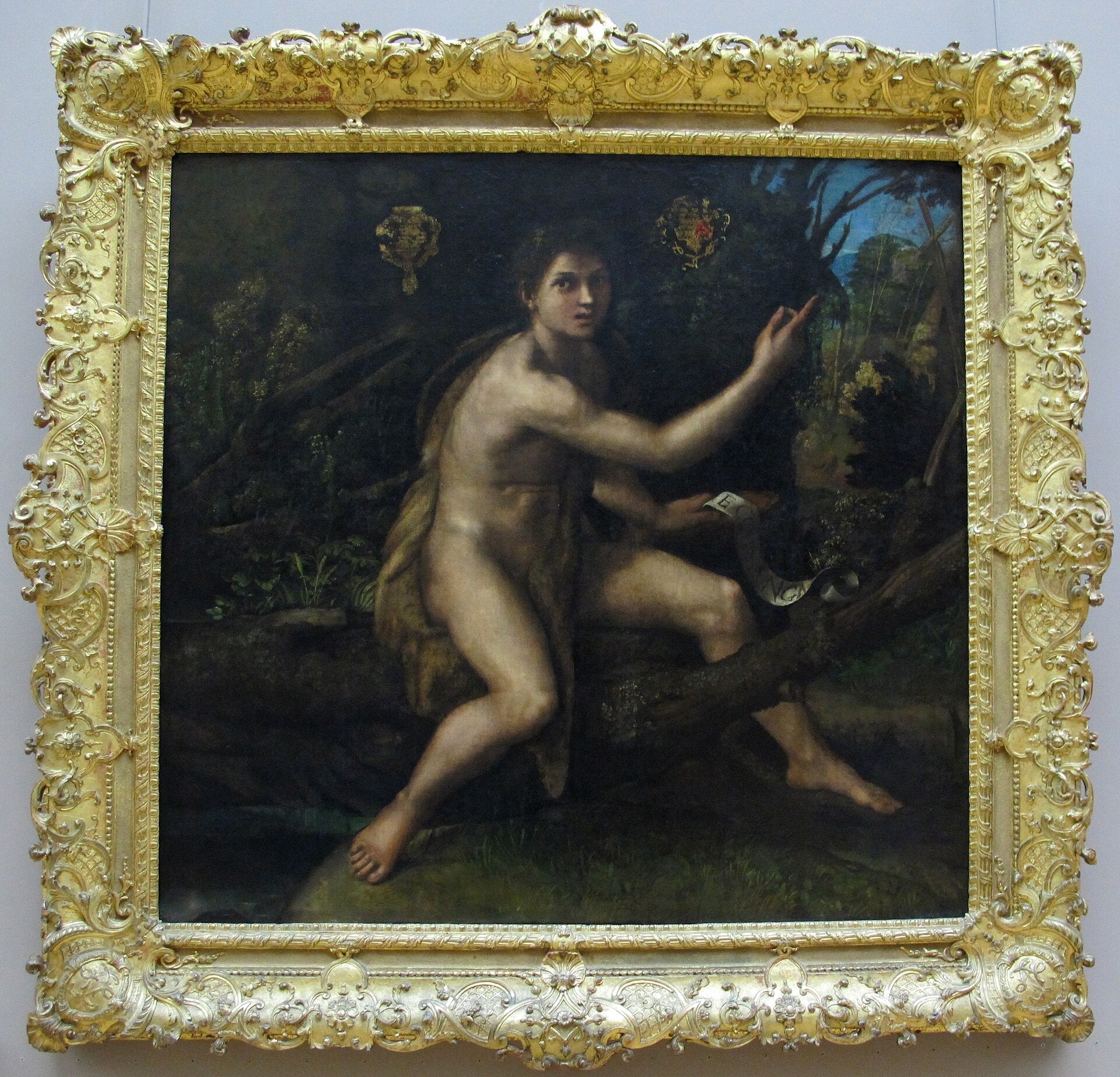 Saint Jean-Baptiste dans le désert désignant la croix de la Passion - Raphaël Sanzio