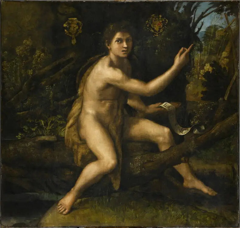 Saint Jean Baptiste dans le désert - Raphaël Sanzio