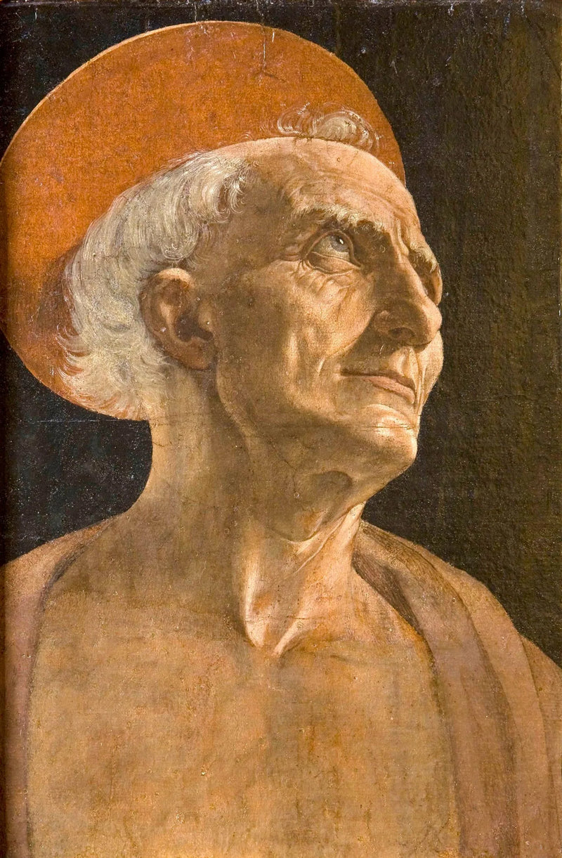 Saint Jérôme - Andrea del Verrocchio