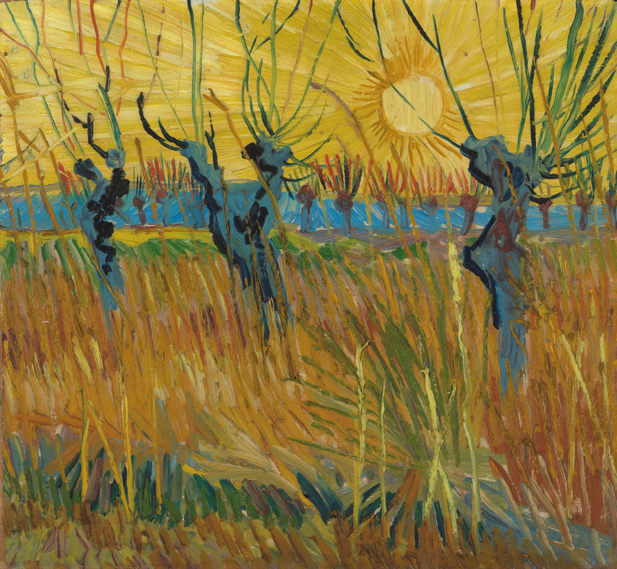 Saules têtards au soleil couchant, F572 – Van Gogh