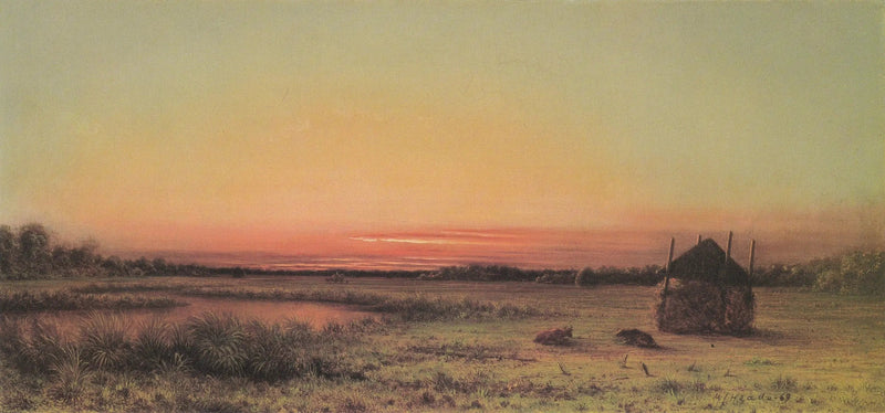 Scène de marais : deux bovins dans un champ - Martin Johnson Heade