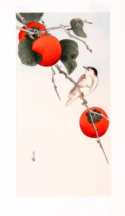Oiseau et kakis, œuvre de Yoshimoto Gessō