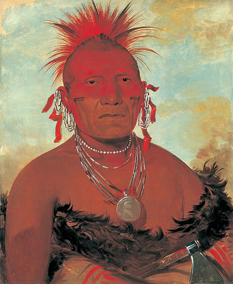 Shón-ka-ki-he-ga, chef de cheval, grand chef Pawnee - George Catlin