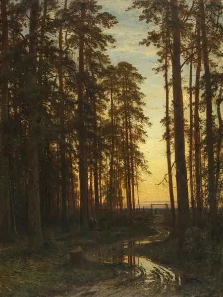 Soirée dans une forêt de pins - Ivan Chichkine
