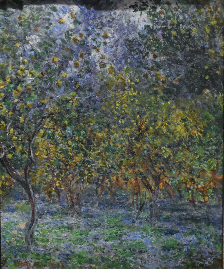 Sous les citronniers W873 – Claude Monet