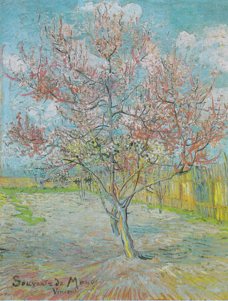 Souvenir de Mauve - Vincent van Gogh