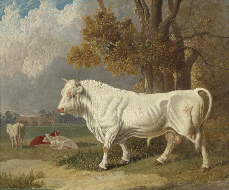 Taureau blanc, Fulbourn, Cambridgeshire, 1830 - John Frederick Herring, Sr.