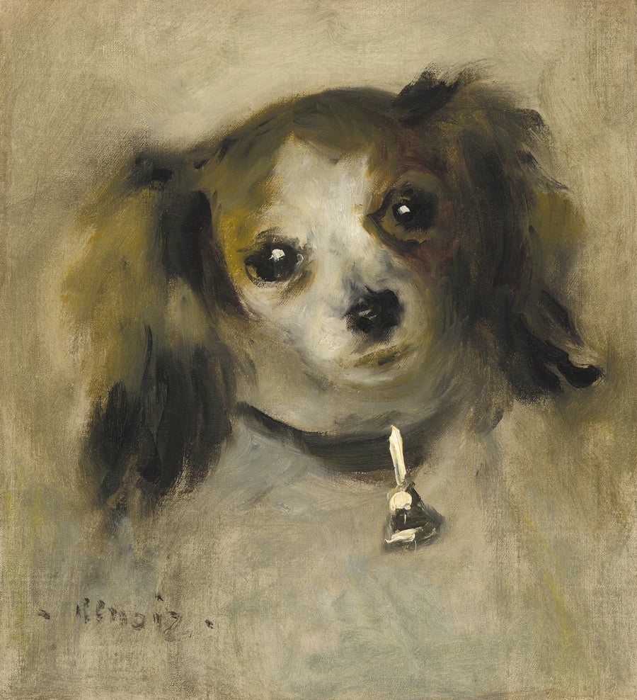 Tête de chien – Pierre-Auguste Renoir