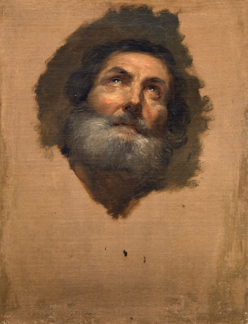 Tête d'Apôtre (musée du Prado, inv P02202) - Anton Raphael Mengs