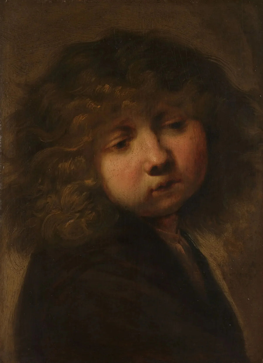 Tête d'un garçon - Rembrandt