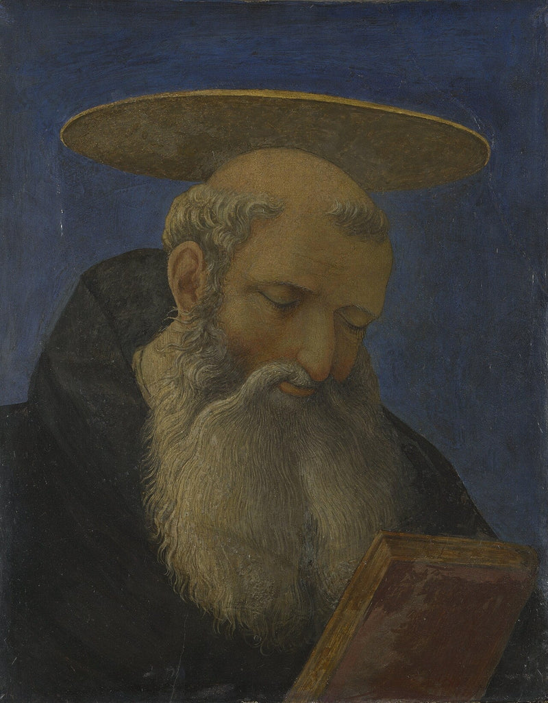 Tête d'un saint tonsuré et barbu - Domenico Veneziano