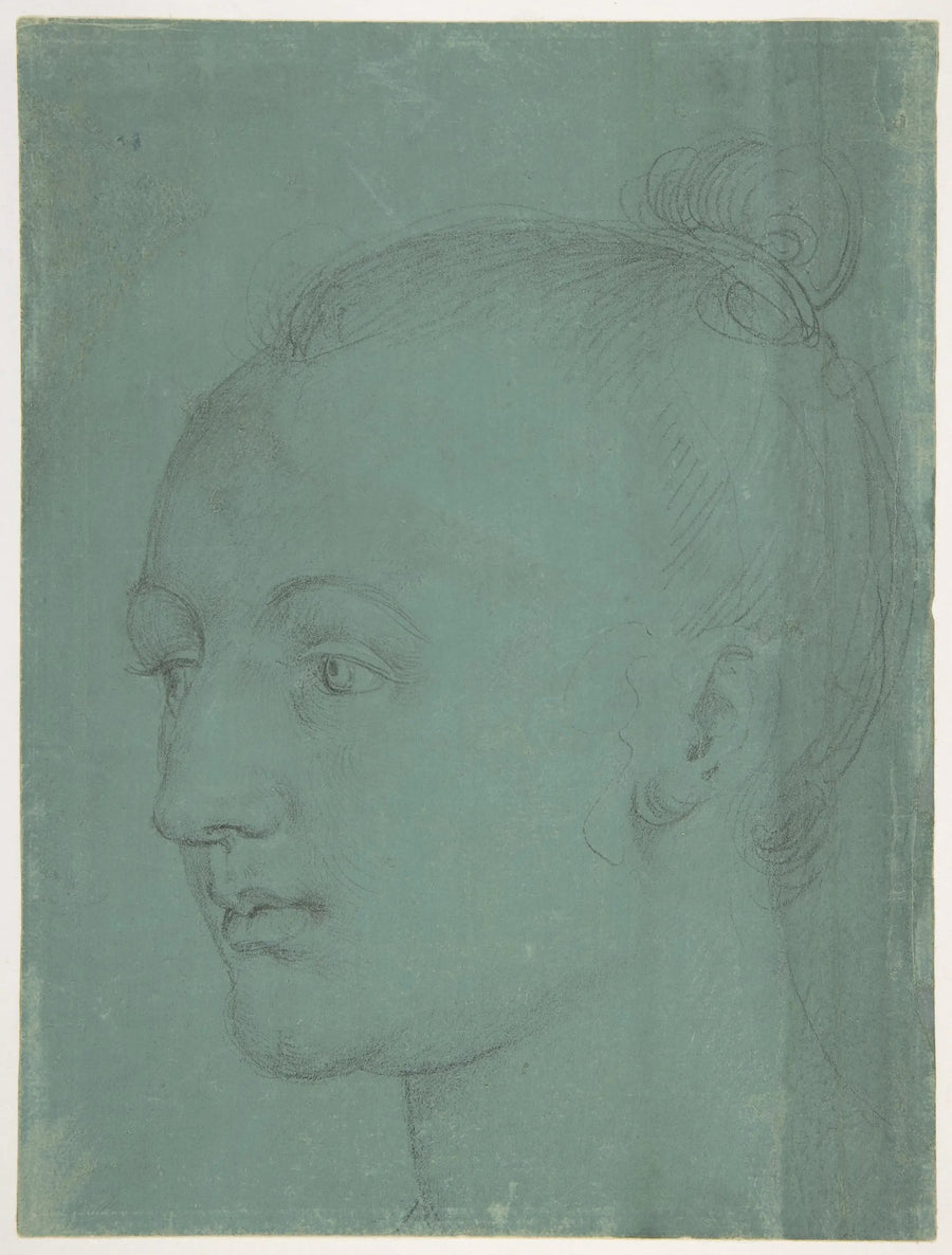 Tête de jeune femme - Albrecht Dürer