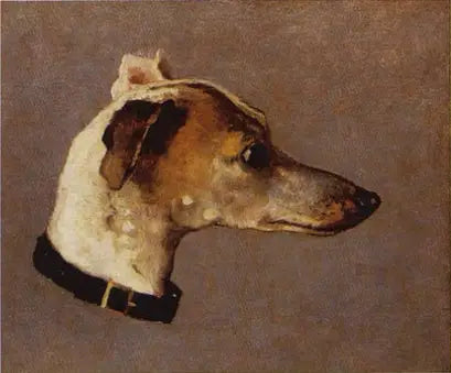 Tête de Lévrier - Claude Monet