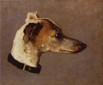 Tête de Lévrier - Claude Monet
