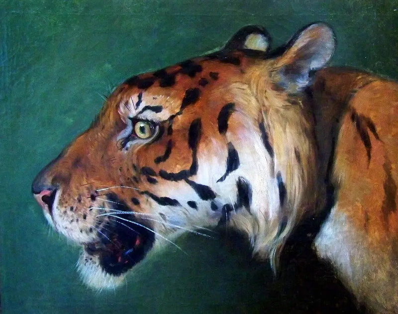 Tête de tigre - Eugène Delacroix