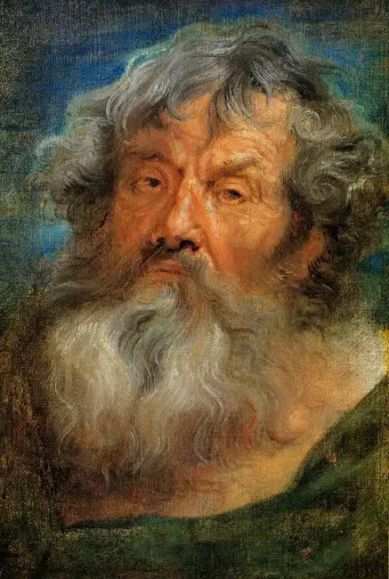 Tête de vieillard - Antoine van Dyck