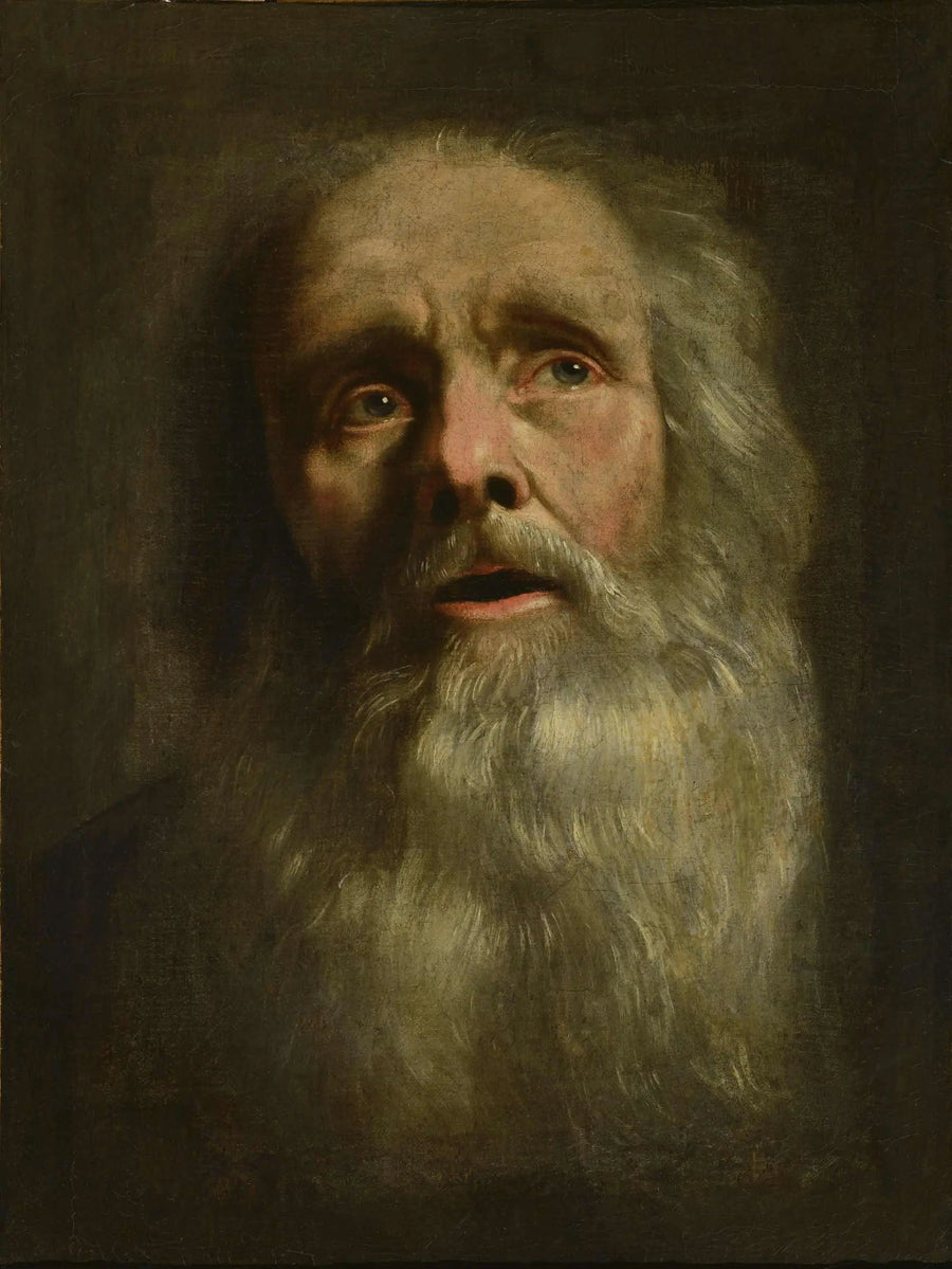 Tête de vieillard - Philippe de Champaigne