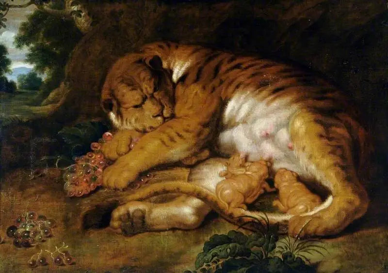Tigresse avec ses petits - Peter Paul Rubens
