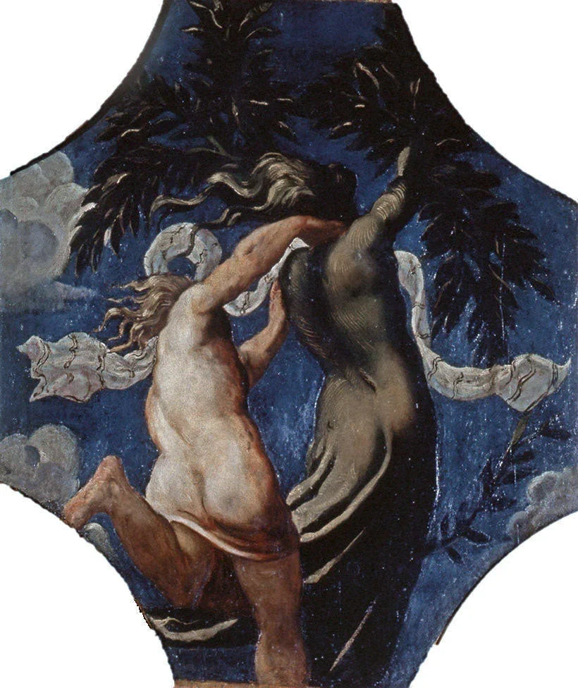 Apollo and Daphne - Le Tintoret