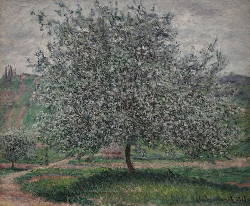 Titre traduit non disponible - Claude Monet