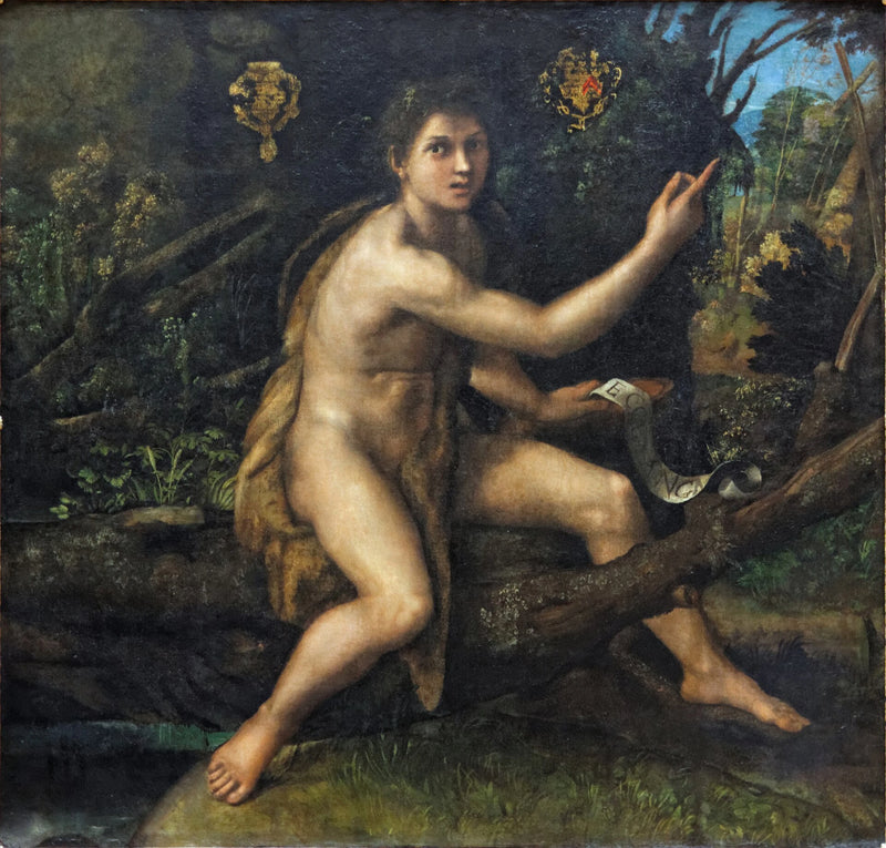 Saint Jean Baptiste dans le désert - Raphaël Sanzio