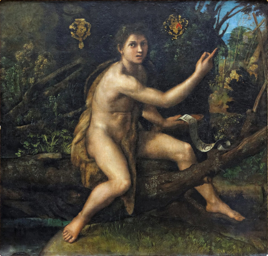 Saint Jean Baptiste dans le désert - Raphaël Sanzio