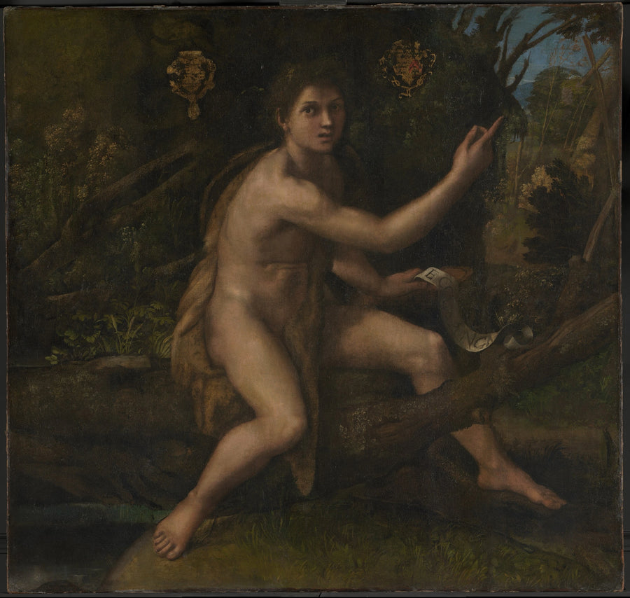 Saint Jean-Baptiste dans le désert désignant la croix de la Passion - Raphaël Sanzio