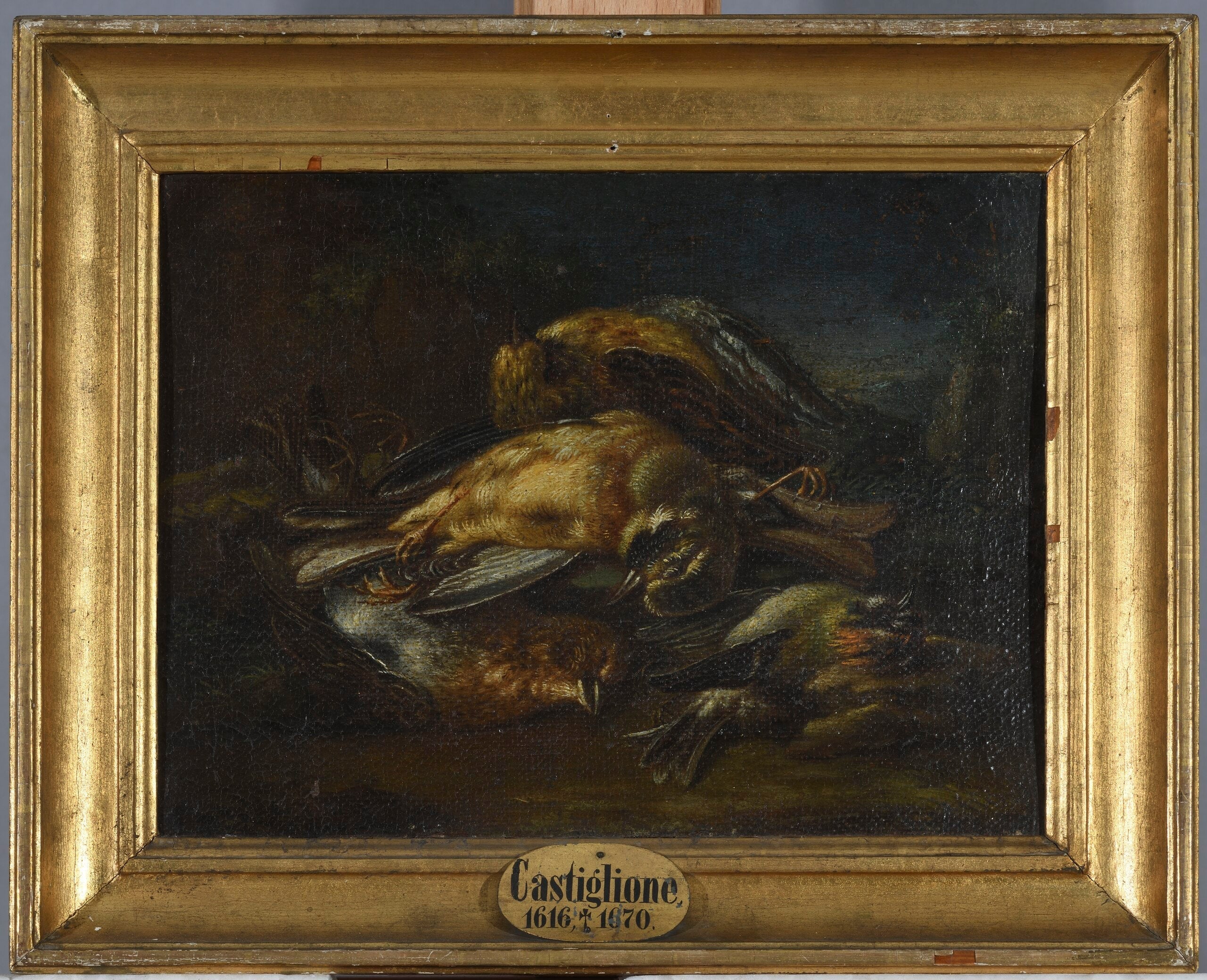 Tote Vögel - Giovanni Benedetto Castiglione