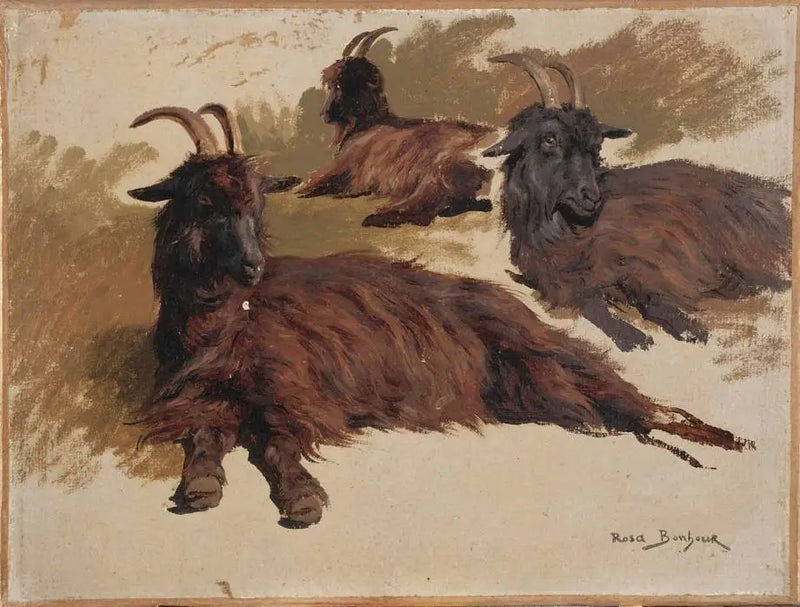 Trois chèvres au repos - Rosa Bonheur