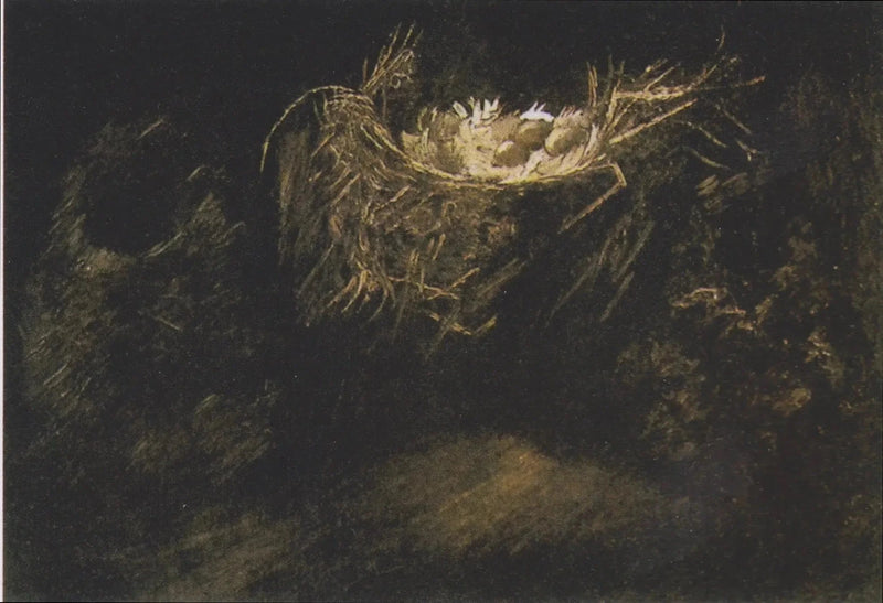 Nature morte aux trois nids d’oiseaux, F108 – Van Gogh