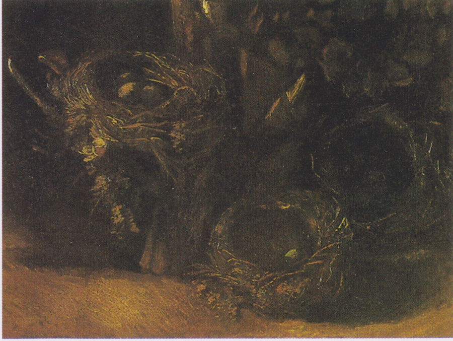 Nature morte aux trois nids d’oiseaux, F110 – Van Gogh