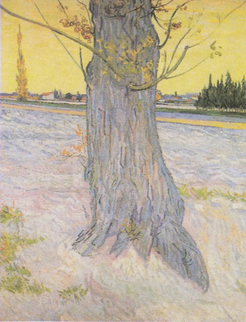 Tronc d’un vieil if, F573 – Vincent van Gogh