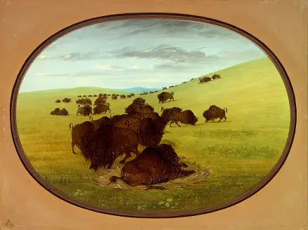 Un bourbier à bisons - George Catlin - Alpha Reproduction