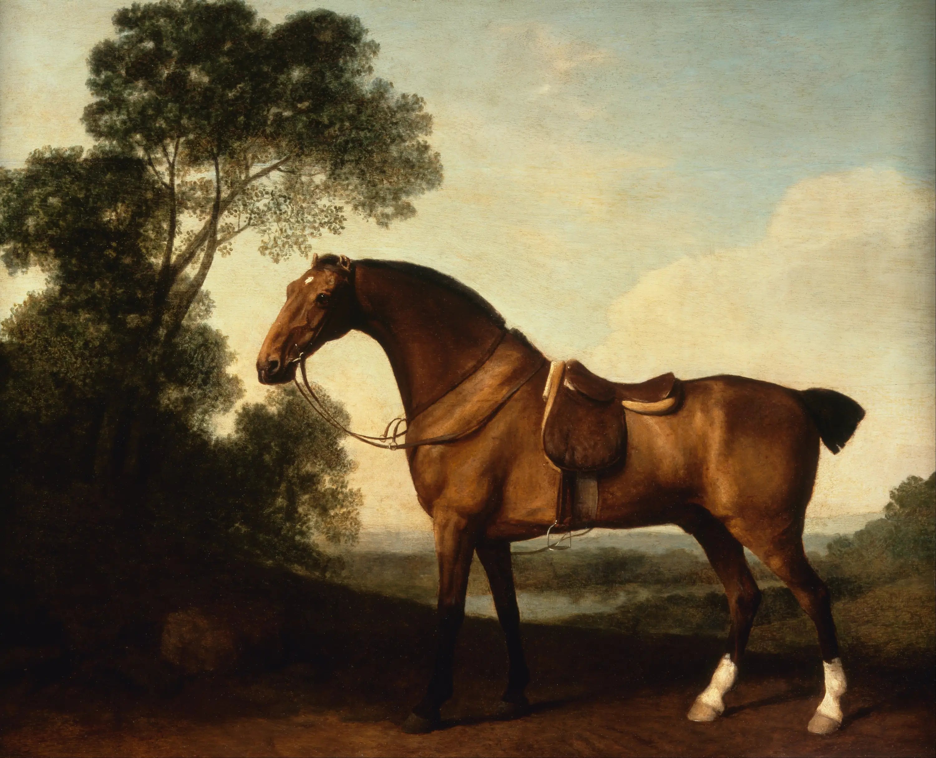 Un chasseur de baie sellé - George Stubbs - Alpha Reproduction