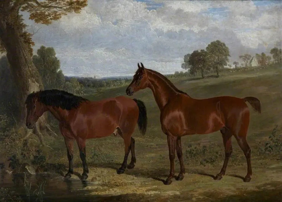 Un cheval bai et un poney dans un paysage - John Frederick Herring, Sr.