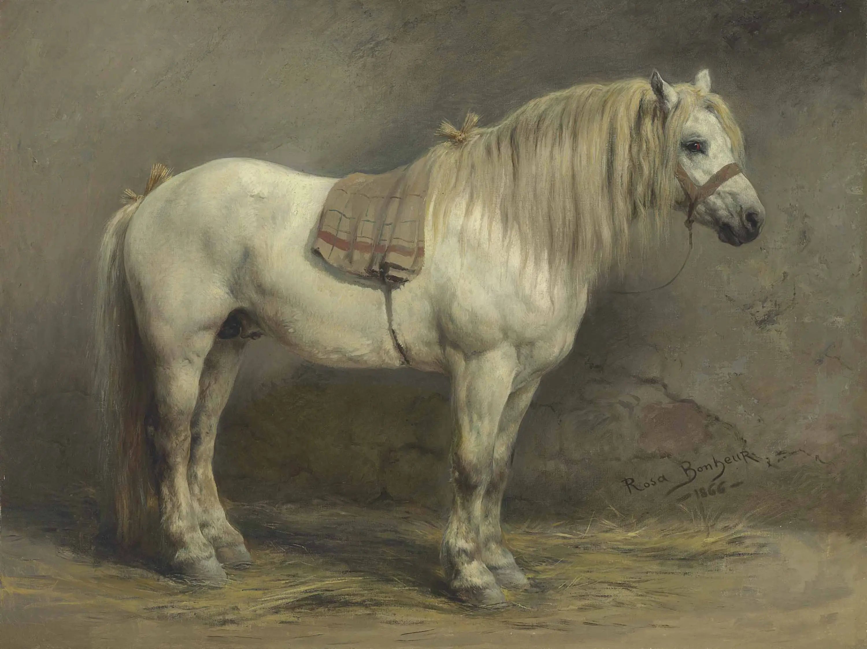 Un cheval blanc - Rosa Bonheur - Alpha Reproduction