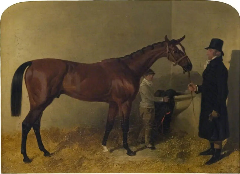Un cheval de course bai dans un box - John Frederick Herring, Sr.