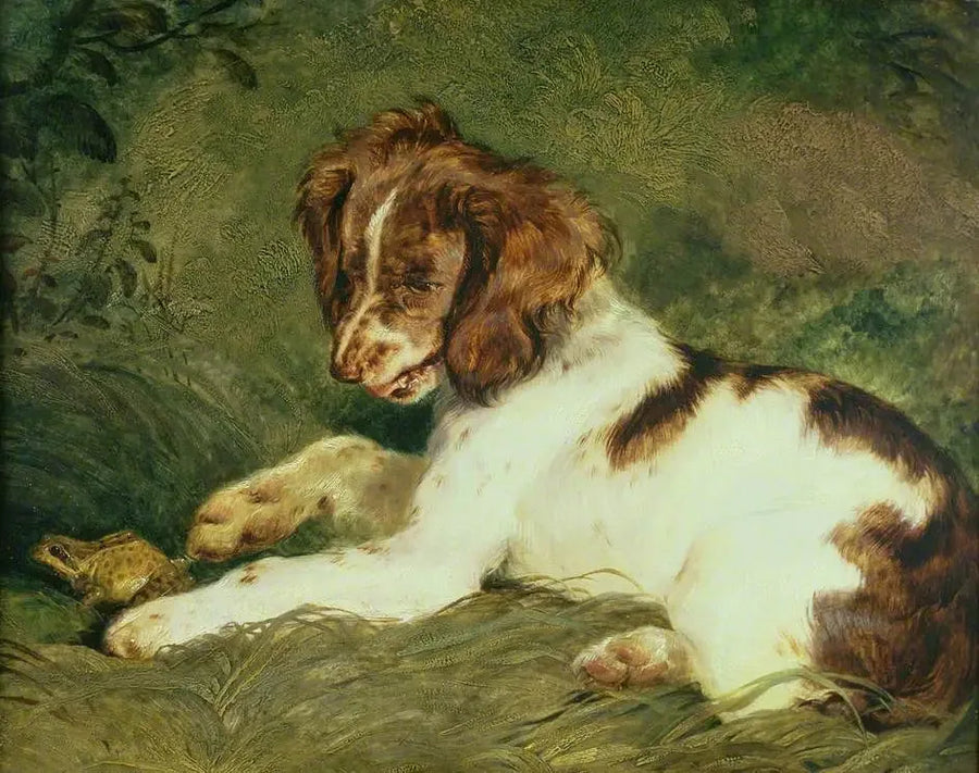 Un chiot taquine une grenouille - Edwin Henry Landseer